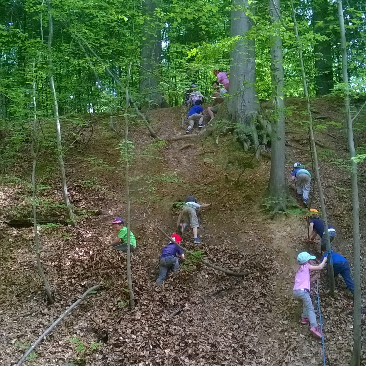 Waldtag