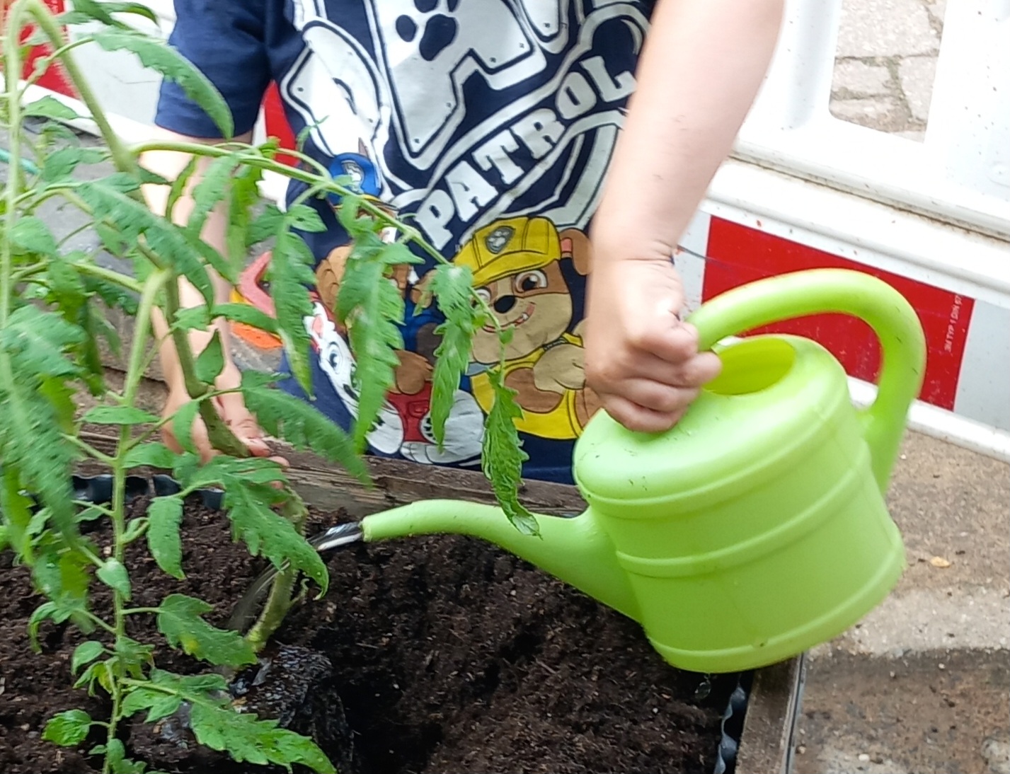 Gartenpflege